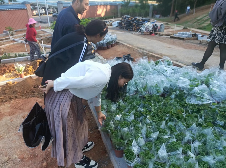 施工现场(二).jpg